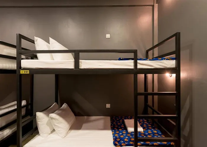 The Flex Hostel